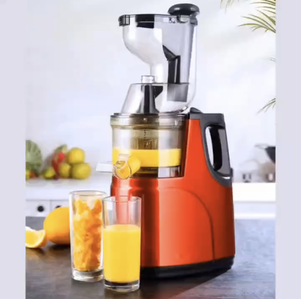 CAMEL SLOW JUICER 500W 1000ML YX01