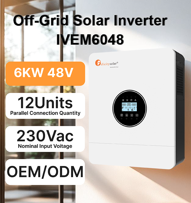 FELICITY SOLAR IVERTER 6000VA/6000W [IVEM6048]